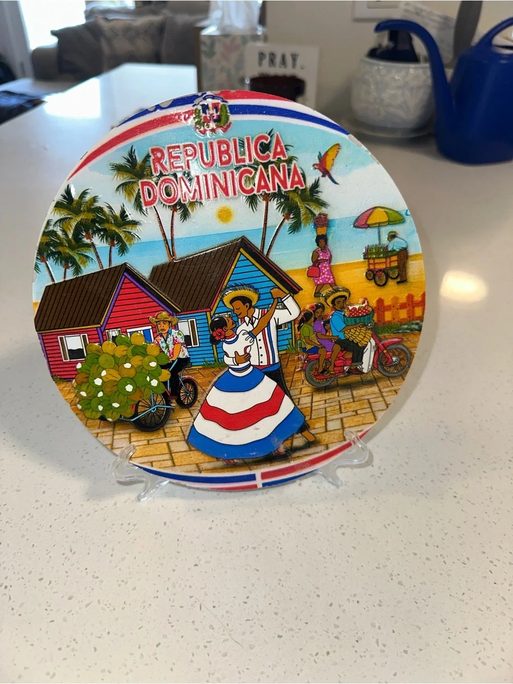 Republica Dominicana Decorative Souvenir Plate - Multicolor